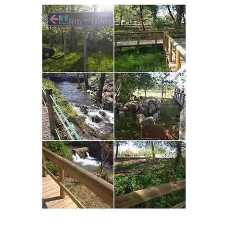 Holiday home Casa Do Cascao